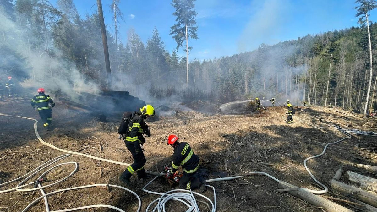 Na Brněnsku hořel les